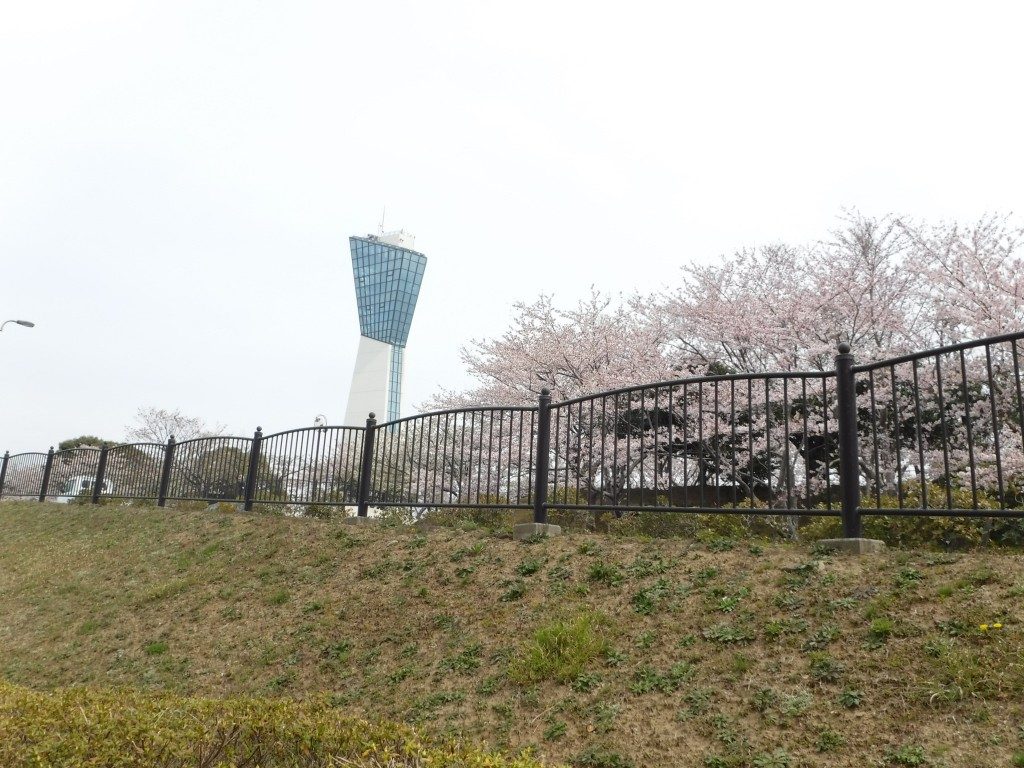 満開の三崎公園